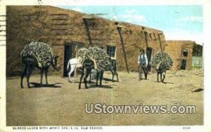 Burros Laden with Wood in Santa Fe, New Mexico