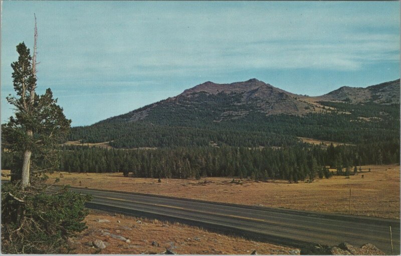 View From Powder River Pass Big Horn Mountains Wyoming Chrome Vintage Postcard