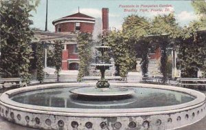 Illinois Peoria Fountain In Pompetan Garden Bradley Park 1910