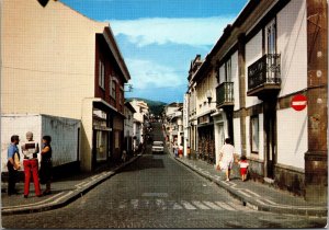 ILHA Terceira Acores Portugal Postcard PC73