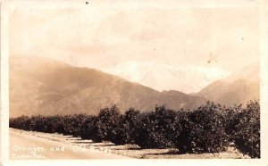 Oranges and Old Baldy Mojave Desert, California CA