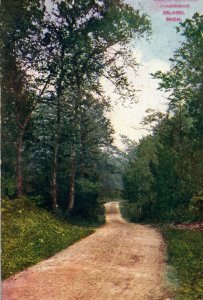 C. 1910 Leslie Avenue Mackinac Island Michigan Old Road Vintage Postcard P35