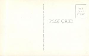 c1950 Printed Postcard Lummus Park Miami FL Unposted