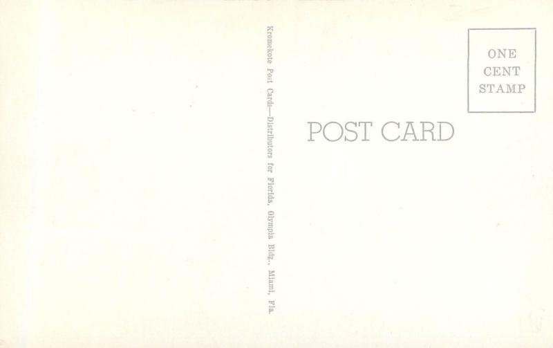 c1950 Printed Postcard Lummus Park Miami FL Unposted