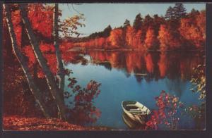 Autumn Scene Postcard BIN