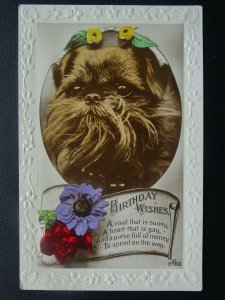 DOGGIE Birthday Greetings A ROAD THAT IS SUNNY..... c1930s RP Postcard