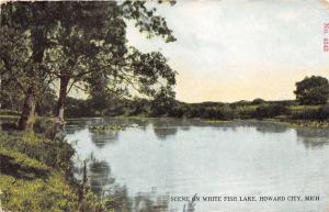Howard City Michigan~White Fish Lake~Montcalm County~1911 Postcard