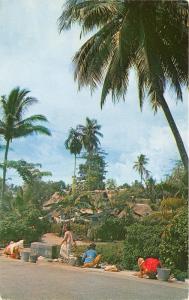 Singapore~Malay Kampong~Women @ Work~Village Bknd~'50s Malayan Color Views Co Pc