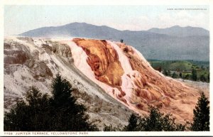 Yellowstone National Park Jupiter Terrace Detroit Publishing