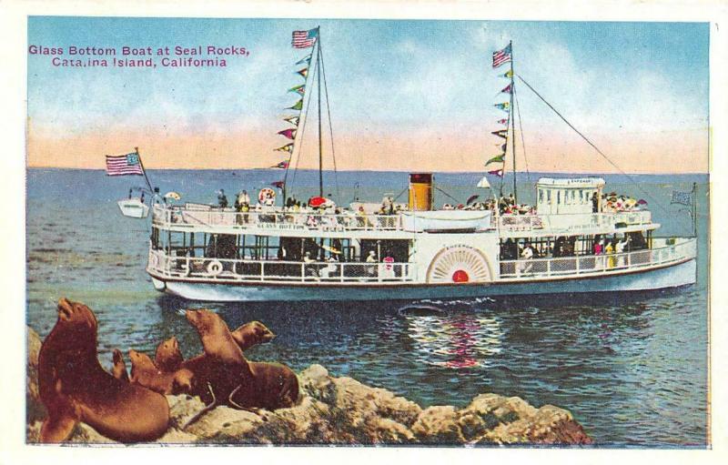 CATALINA ISLAND, CA California GLASS BOTTOM BOAT~SEALS ON ROCKS c1920's Postcard