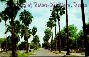 Texas McAllen City Of Palms Street Scene