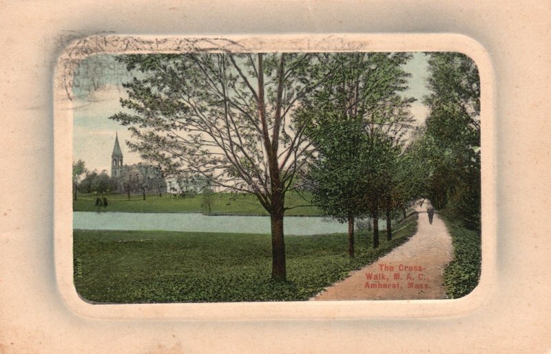 Vintage Postcard View of The Cross-Walk M. A. C. Amherst Massachusetts MA
