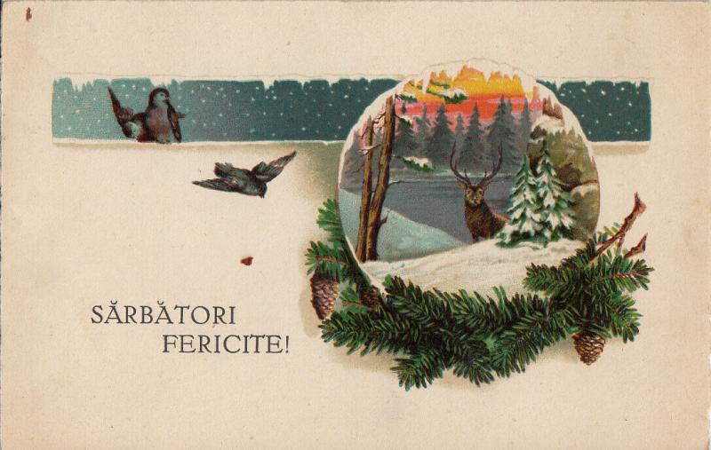 Romania 1927 winter seasonal greetings postcard deer birds pine cone fantasy