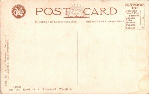 Postcard Chili Pepper farm