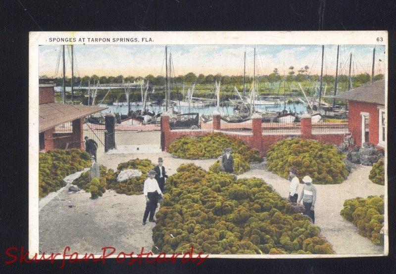 TARPON SPRINGS FLORIDA SPONGES SPONGE FISHING BOATS VINTAGE POSTCARD FLA.