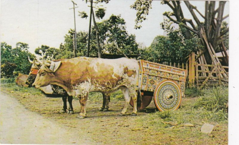 Costa Rica Carreta Tipica Ox Cart sk4199