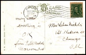 Christmas Boy Ducks BIN