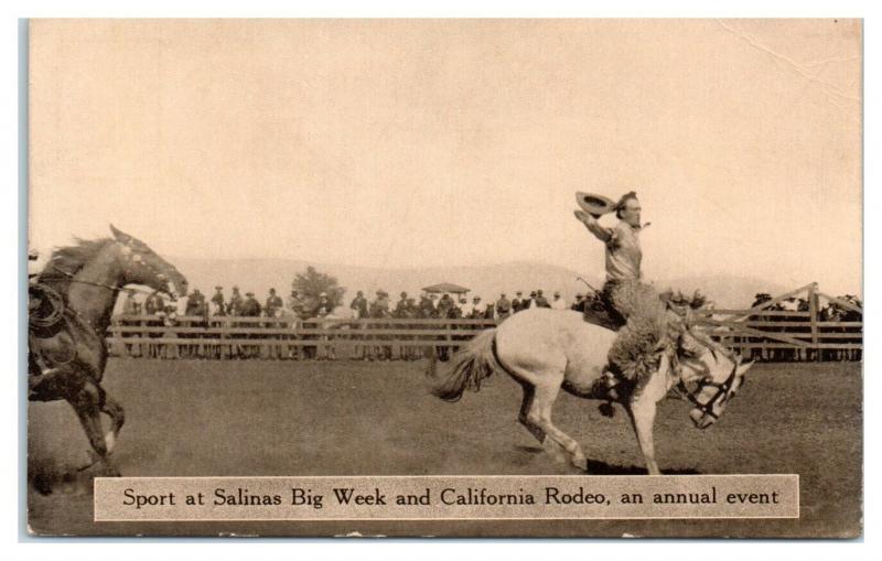 Salinas Big Week and California Rodeo Postcard *4W