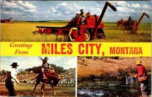 Postcard TOURIST ATTRACTION SCENE Miles City Montana MT AM0015