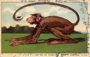 I can see my finish Monkey 1908 