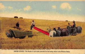 Horse Thresher Farming Western States USA International Harvester postcard