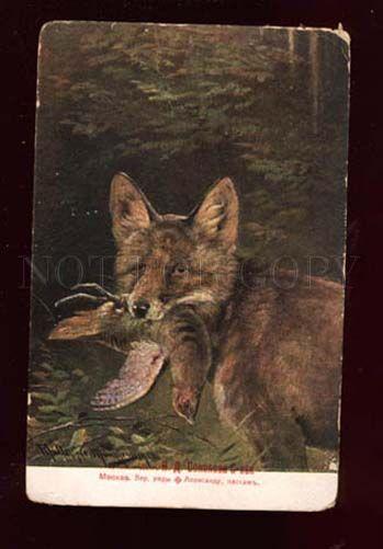 018072 Nice FOX w/ Bird. After Hunt. Vintage colorful PC