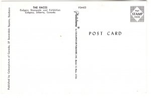 The Horse Races, Calgary,  Alberta, Stampede