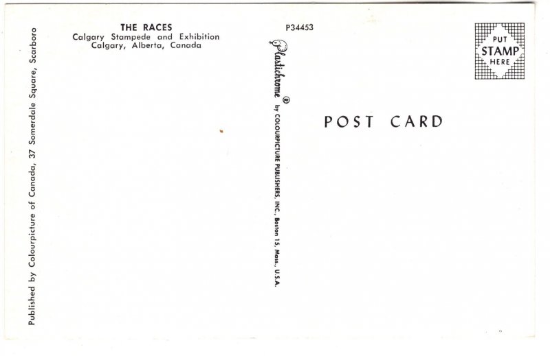 The Horse Races, Calgary,  Alberta, Stampede