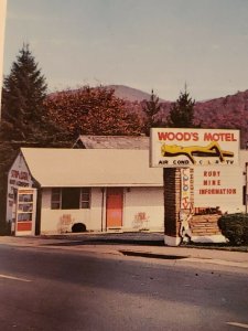 Vintage Postcard Wood's Motel Franklin North Carolina US 23-441 NC 28   689