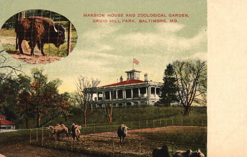 Vintage Postcard Mansion House Zoological Garden Druid Hill Baltimore Maryland