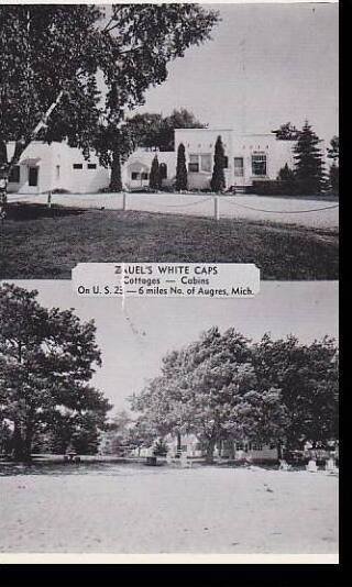 Michigan Detroit Zauels White Caps Cottages Dexter Press Archives
