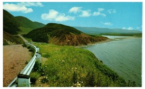 Cabot Trail Cape Breton Nova Scotia Scenic Highway View Vintage Postcard