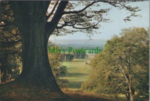 Wiltshire Postcard - Longleat, Warminster, View From Heaven's Gate  RR17441