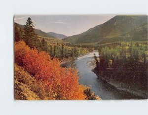 Postcard Grand Canyon of the Snake River Wyoming USA