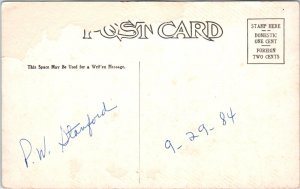 1920s Soda Dam and Falls Jemez Springs New Mexico Postcard