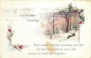 A Christmas Greeting 1921 postcard winter fantasy rabbit