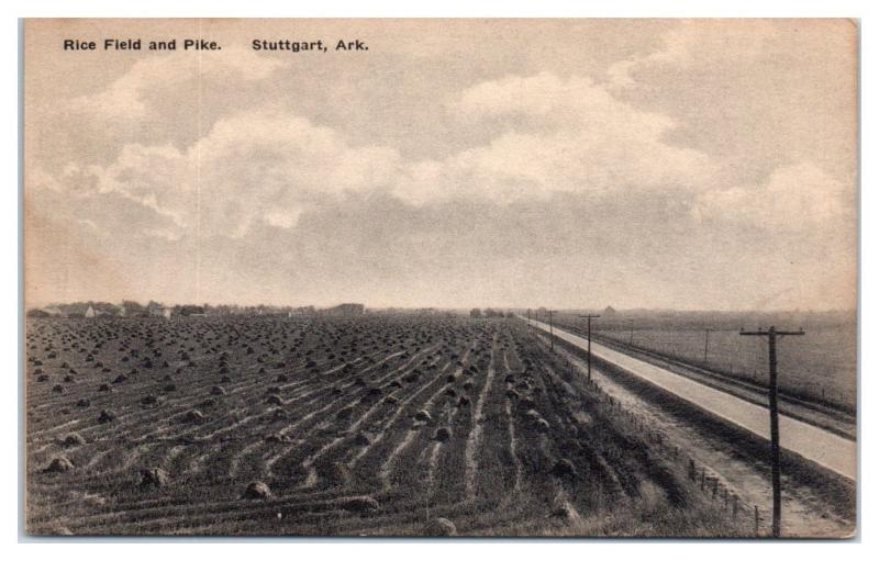 Rice Field and Pike, Stuttgart, AR Postcard