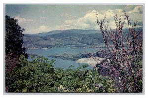 Shores of Clear Lake California CA UNP Chrome Postcard Z4