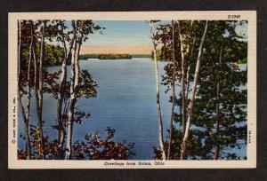 OH Greetings from SALEM OHIO Postcard Linen PC