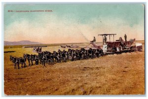 1909 California Harvesting Scene Field San Bernardino California CA Postcard