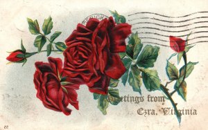 Vintage Postcard 1910's Greetings From Ezra Virginia Large Print The Red Roses