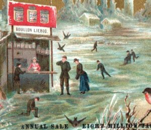 1880s Liebig Co. Extract Of Meat Winter Mica Ice-Skating Birds P162