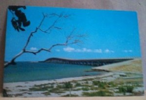 FL Sanibel Captiva Islands new bridge to Sanibel and Captiva Islands postcard