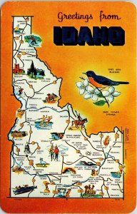 Greetings Idaho State Map Blue Bird Syringa Flower Cities DB Postcard 
