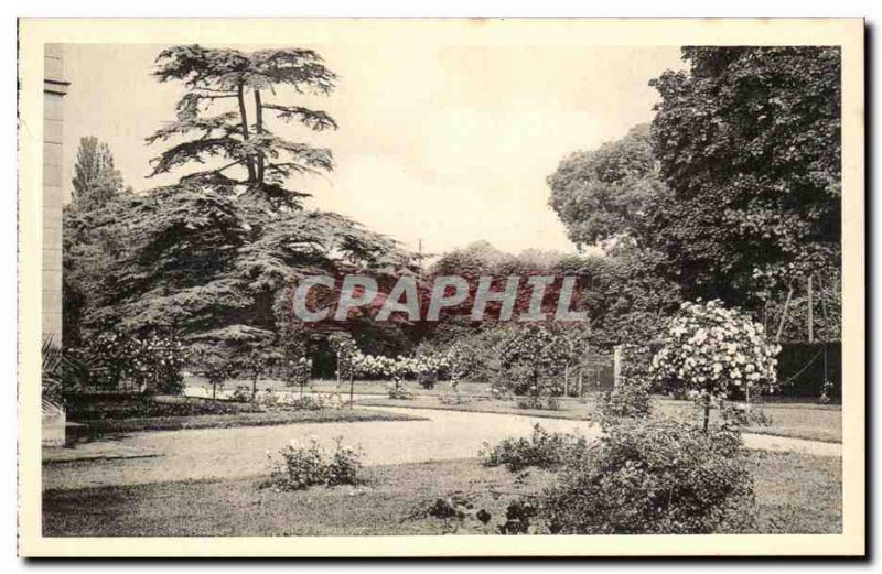 Old Postcard Malmaison Rose Garden And Cedre From Marengo