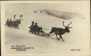 Norway? Reindeer Pull Sleds Renskyss Galdhopiggen-Juvashytten Jotunheimen