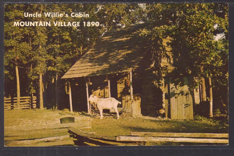 Uncle Willie's Cabin,Mountain Village 1890,Bull Shoals,AR BIN