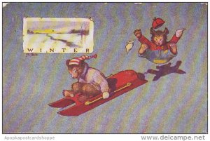 Bears Riding Sleigh Winter 1907