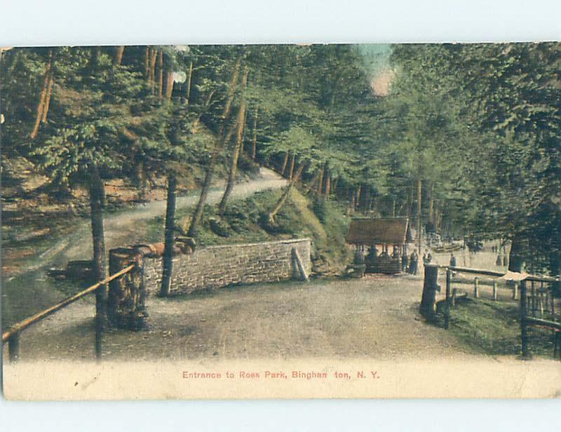 Pre-1907 PARK SCENE Binghamton New York NY H4169