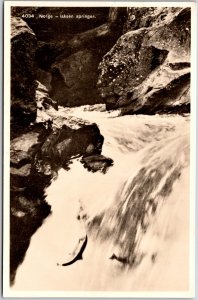 Norge - Laksen Springer Norway Waterfall Attraction Real Photo RPPC Postcard